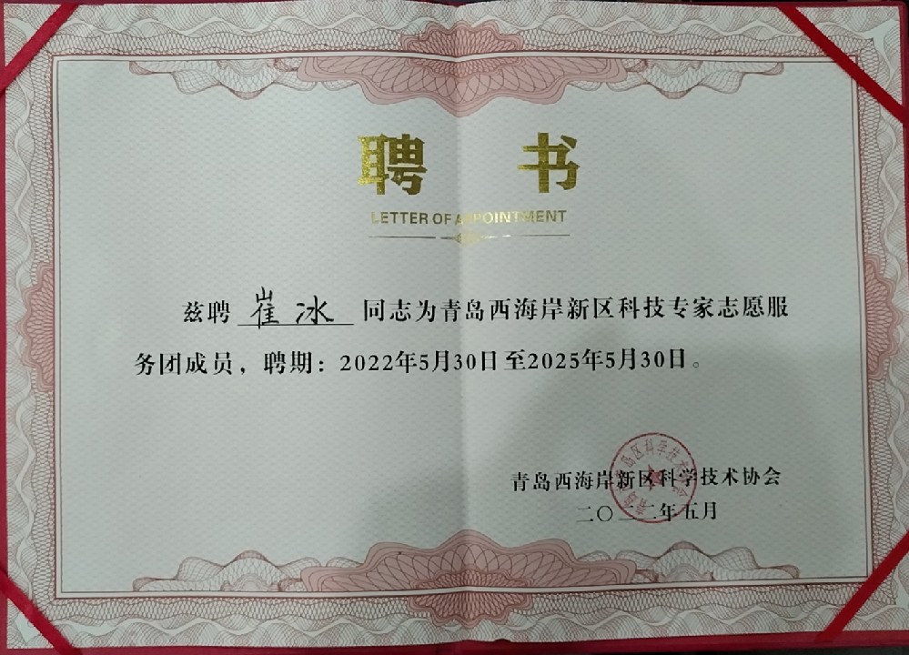崔冰先生科技专家证书